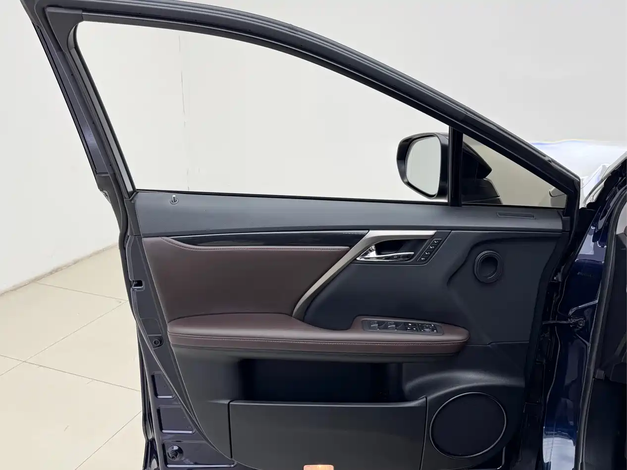 Lexus RX 2020 300 4WD Elegance Edition China VI фото 7