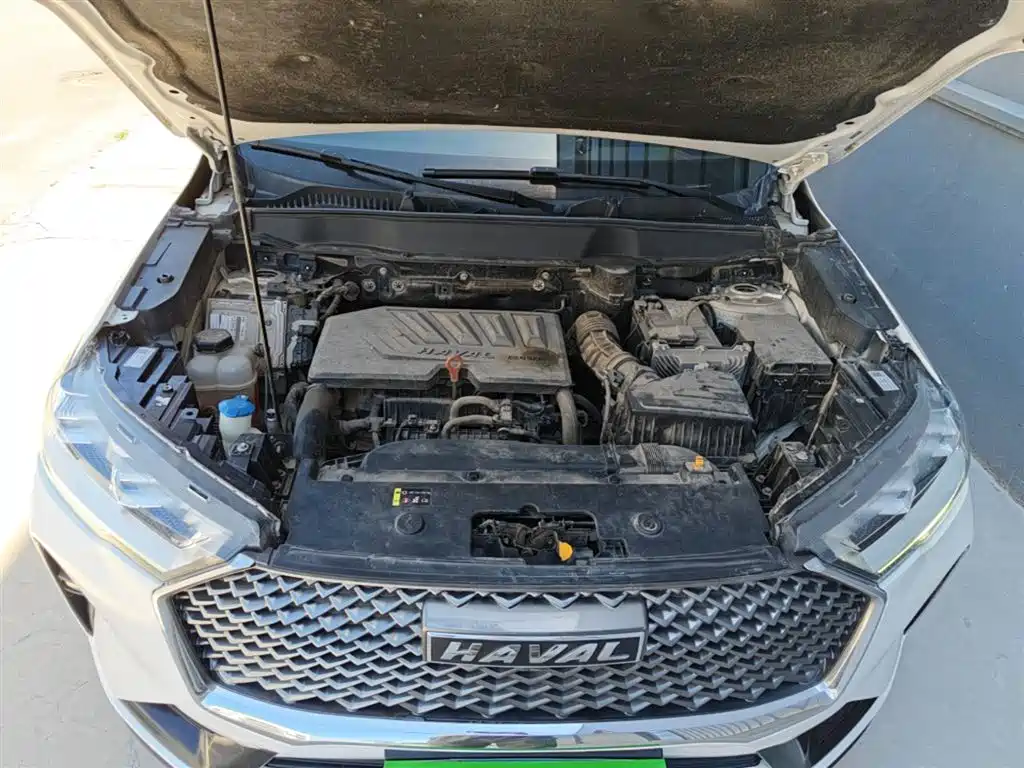 Haval H6 2021 3rd Gen 1.5T Auto 2WD Pro фото 20
