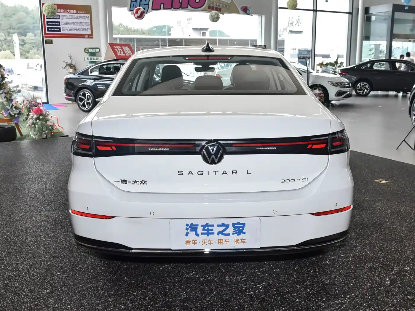 Volkswagen Sagitar, миниатюра 5