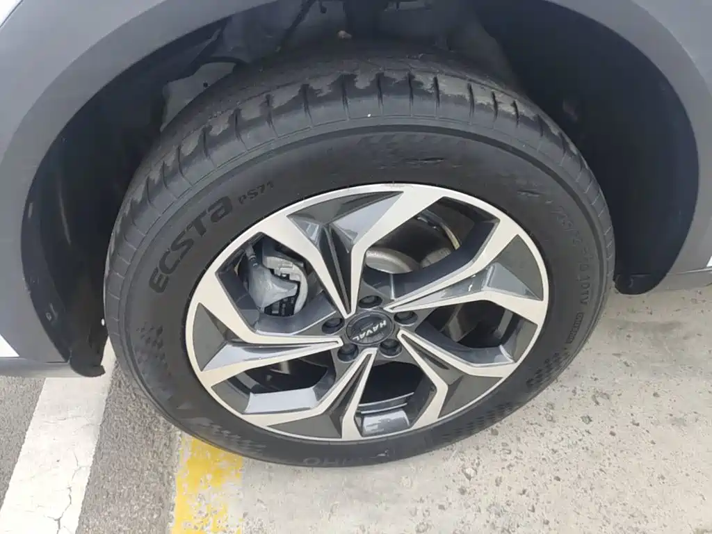 Haval Shenshou 2023 2023 1.5T Smart Enjoy Edition