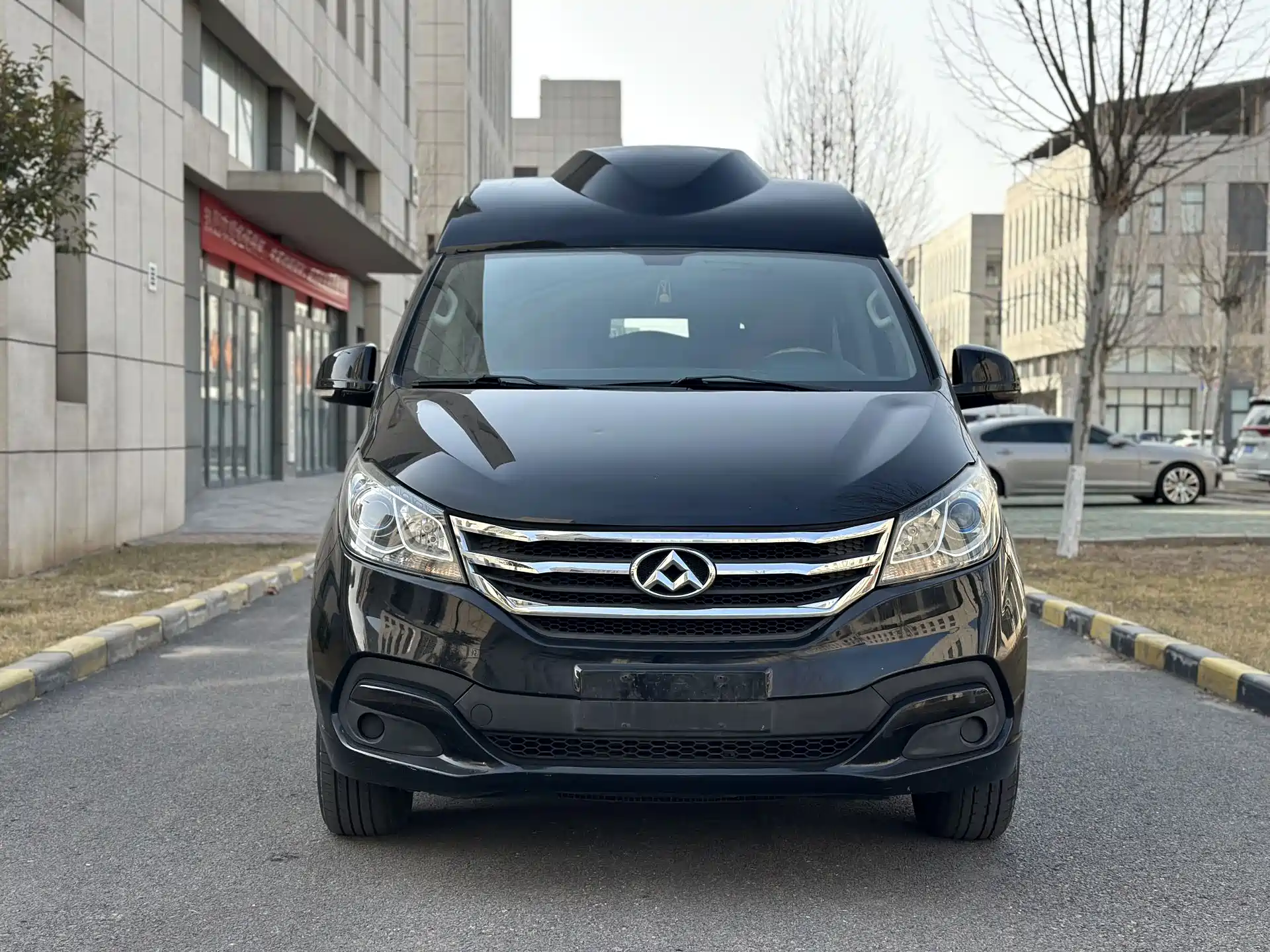 Фото 2 - Maxus G10