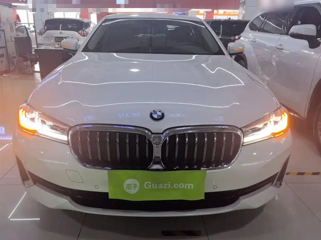 BMW 5 Series 2021 530Li Leading Luxury Package фото 3