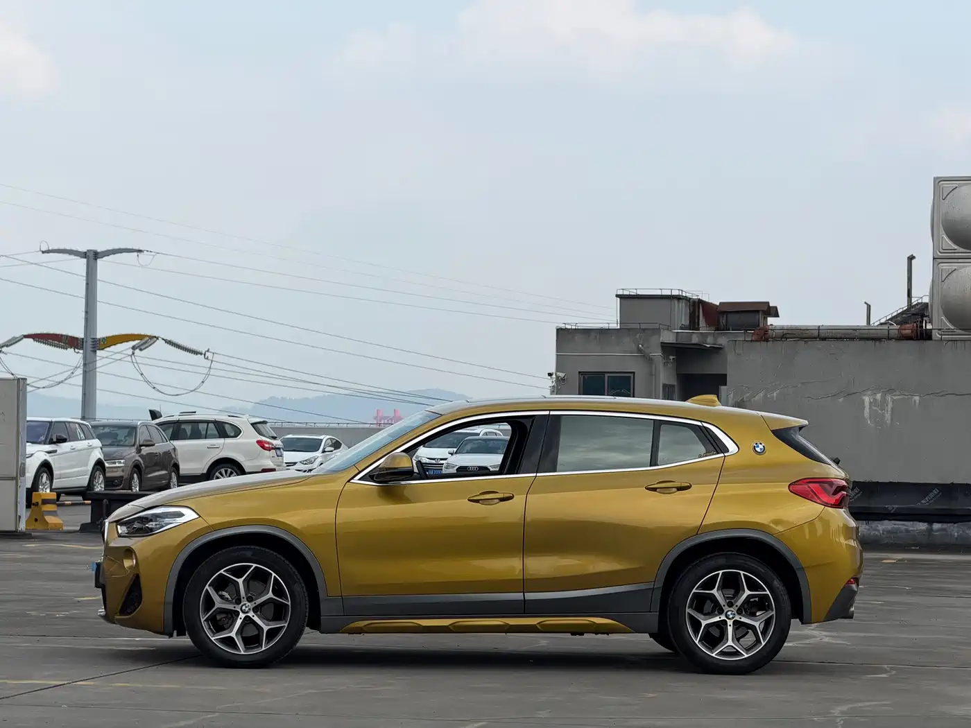 BMW X2 (Import) 2019 sDrive20i M Off-Road Package China VI фото 3