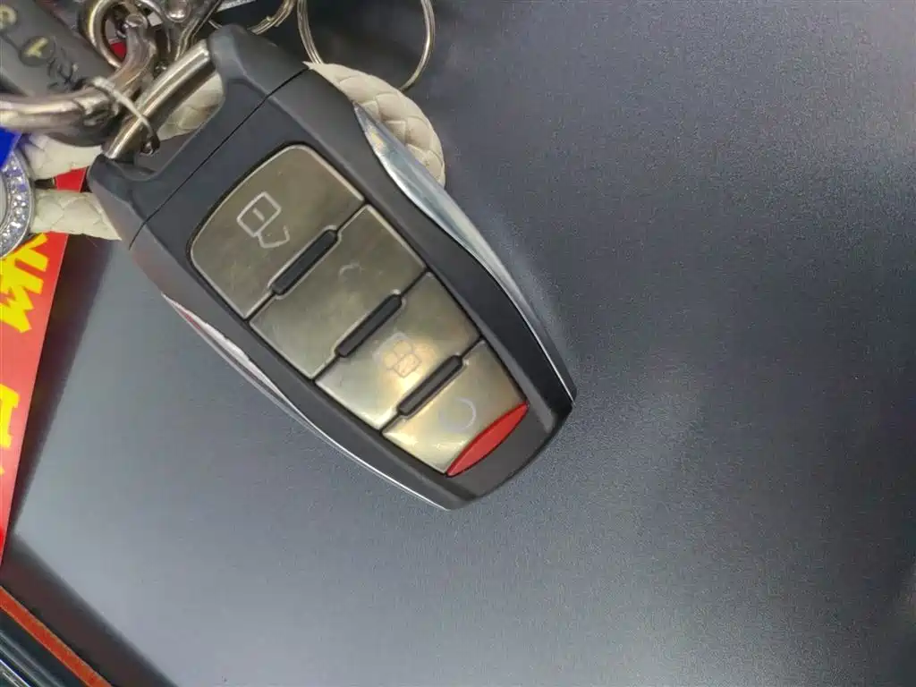 Haval H9 2022 2.0T Gasoline 4WD Premium 5-seater фото 9