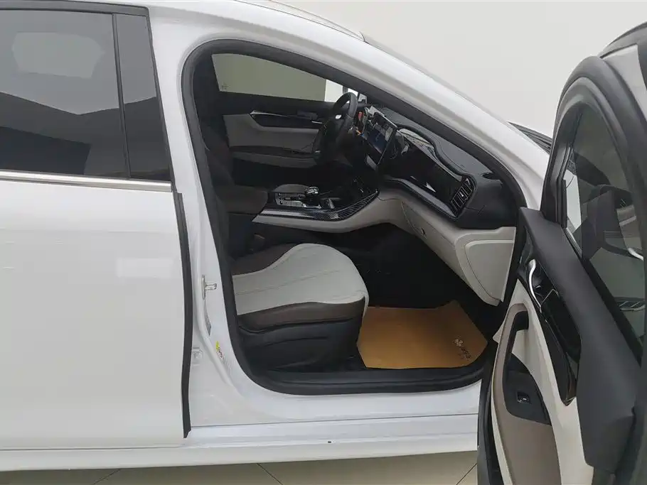 BYD Qin PLUS 2024 Glory Edition DM-i 55KM Leading фото 8