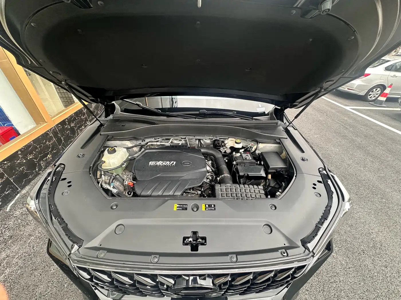 GAC Trumpchi Trumpchi GS8 2025 Pilot Series 2.0TGDI 2WD Luxury Edition 5-seater фото 9