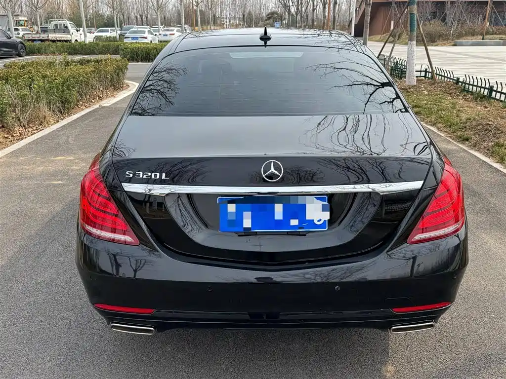 Mercedes-Benz S-Class 2014 S 320 L Business фото 14