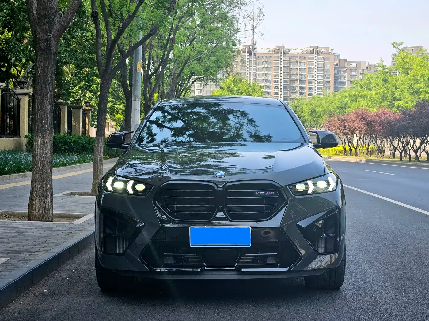 BMW X6M