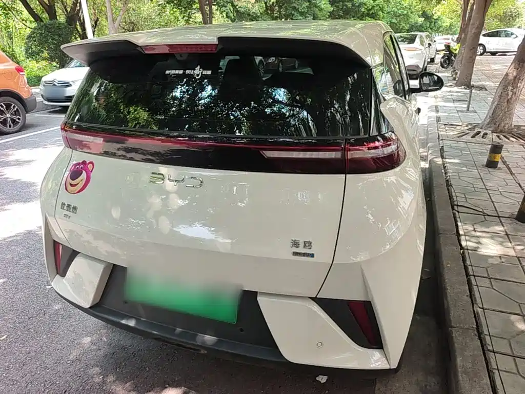BYD Seagull 2026 2025 Smart Drive Edition 305km Freedom Version