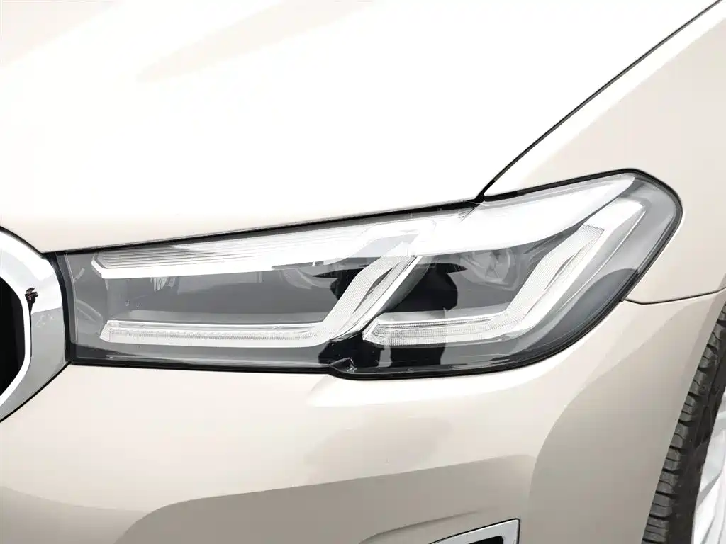BMW 5 Series New Energy 2021 535Le Luxury Package фото 19