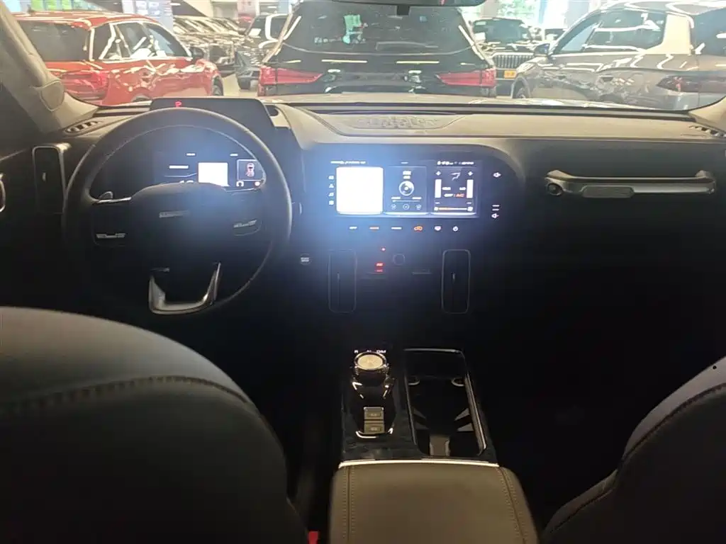 Haval Big Dog 2022 1.5T DCT FWD Border Collie Edition фото 10