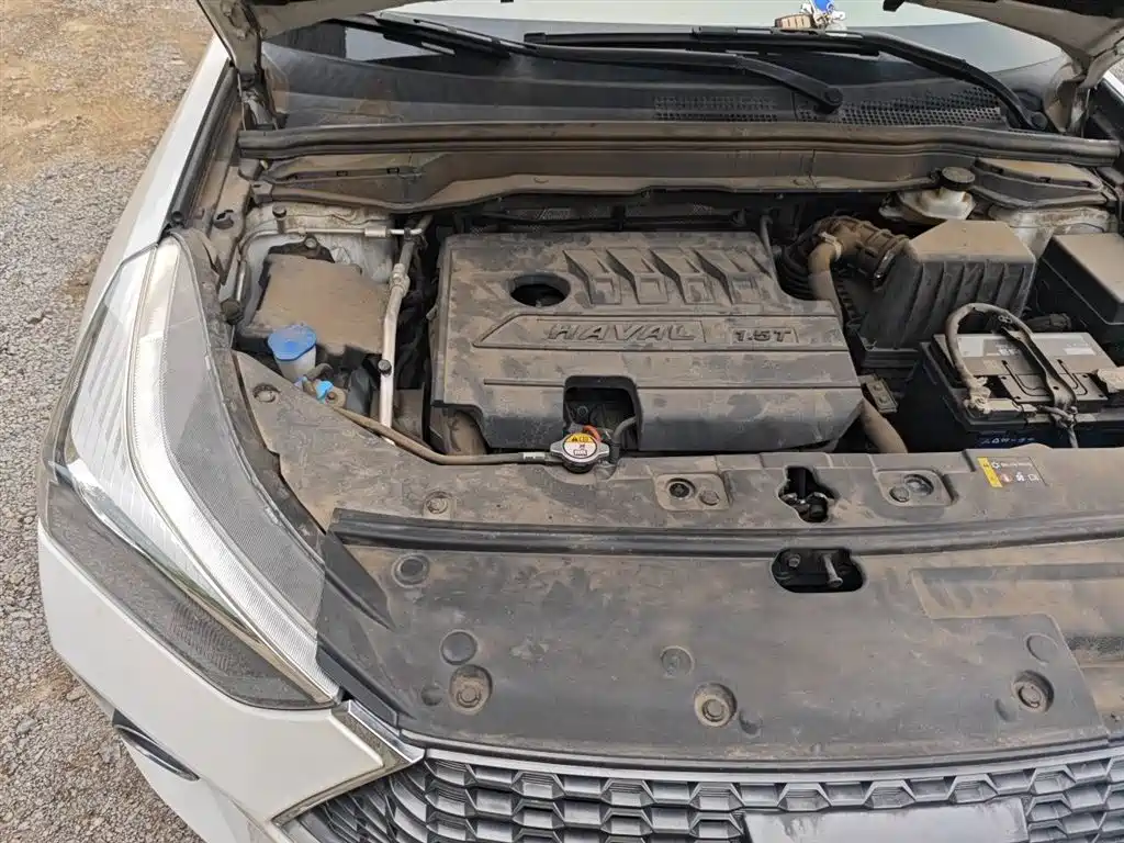 Haval H6 Coupe 2020 Smart Connect Edition 1.5T Automatic 2WD Elite фото 23