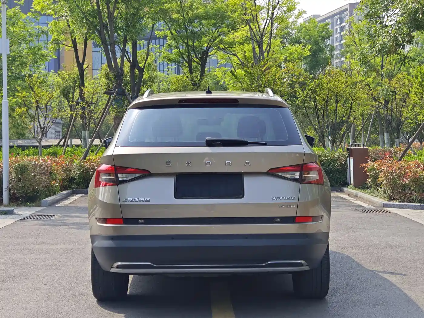 Škoda Kodiaq 2019 Facelift TSI330 5-Seater 2WD Luxury Premium Edition China V фото 6