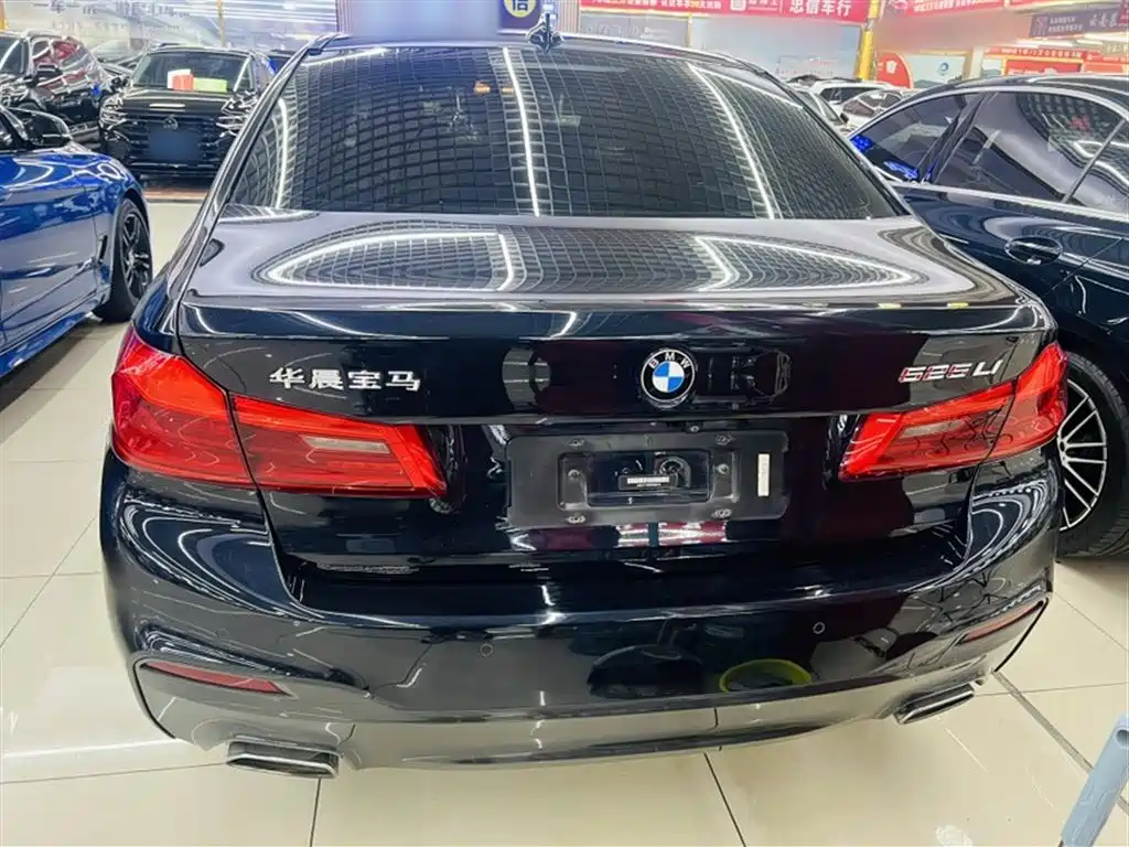 BMW 5 Series 2019 525Li M Sport Package фото 6
