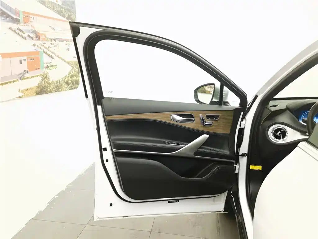 Denza X 2020 PHEV Classic Edition фото 8