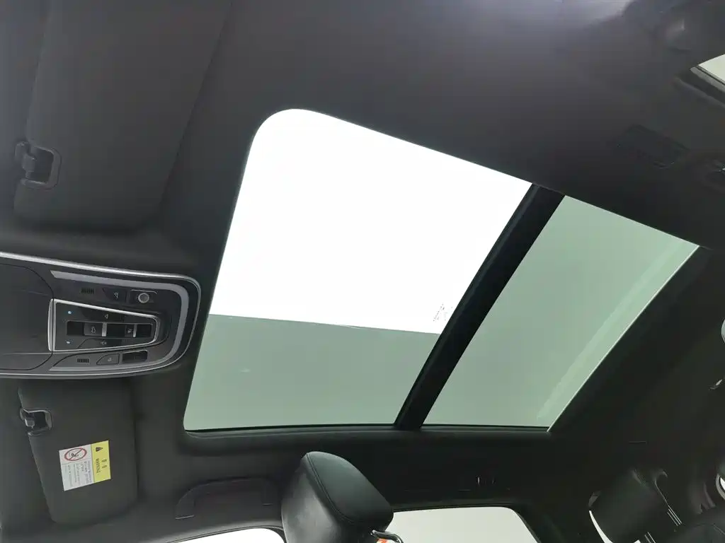 Denza X 2020 PHEV Classic Edition фото 14