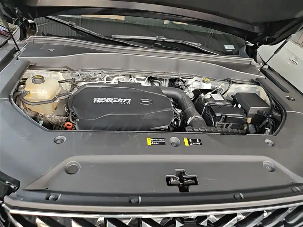 GAC Trumpchi Trumpchi GS8 2024 Navigator Series 2.0TGDI 2WD Luxury Smart Connect Edition фото 20