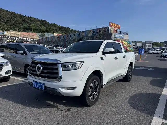 Great Wall Pao 2021 2.0T Passenger Global Edition Automatic Gasoline 2WD Comfort Standard Box GW4C20B