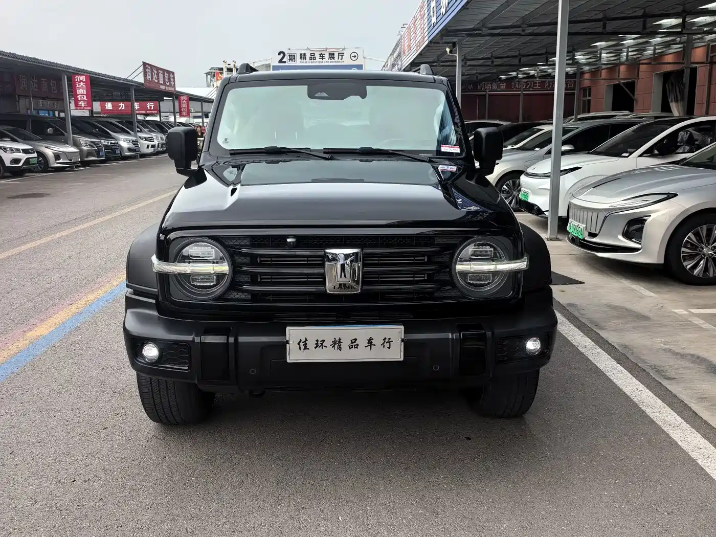 Tank 300 2021 Off-road Version 2.0T Conqueror