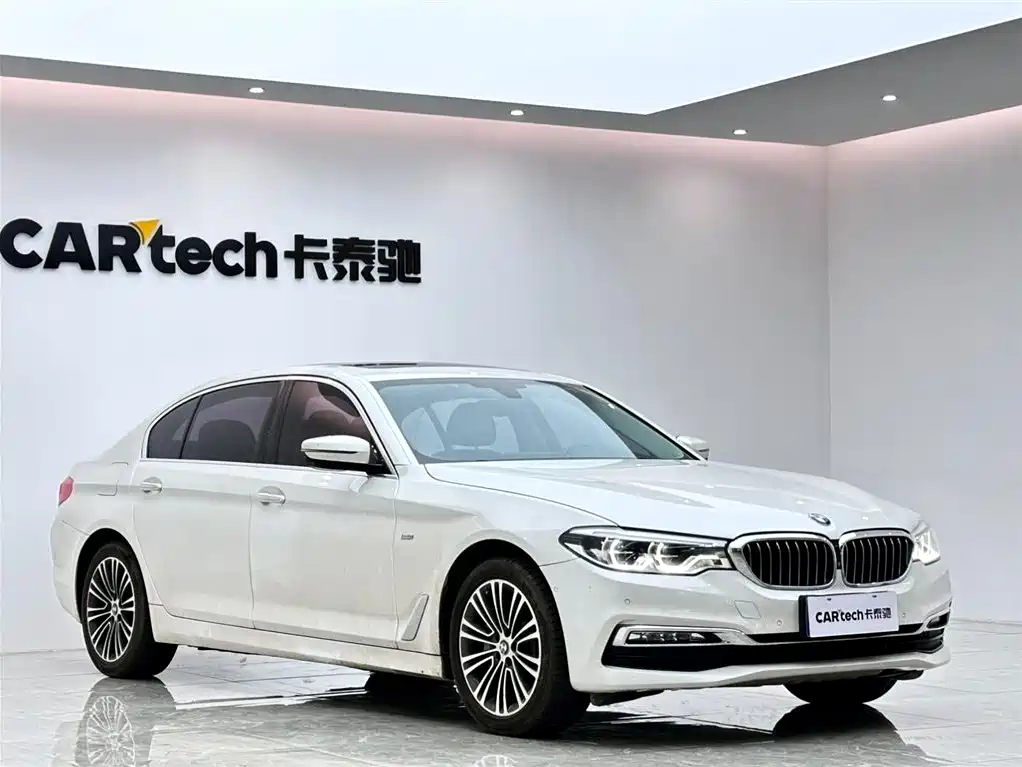 BMW 5 Series 2018 530Li Exclusive Luxury Package фото 6