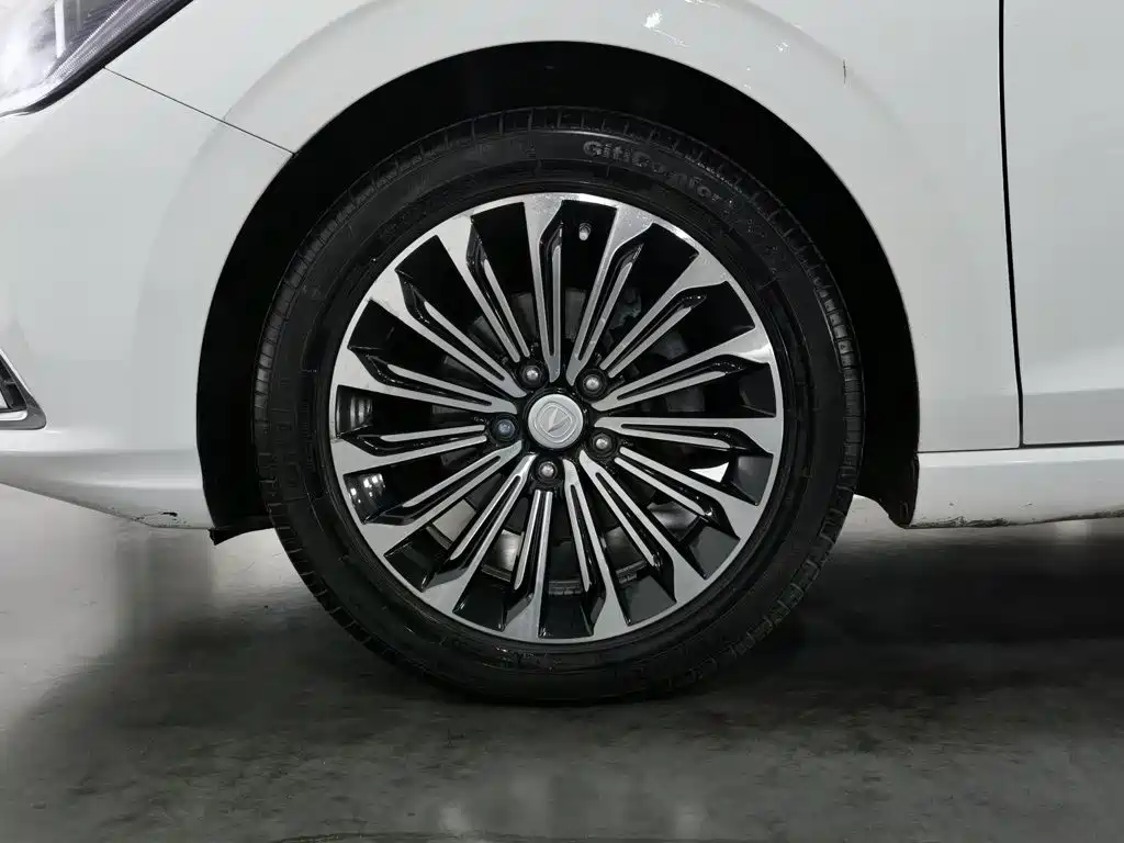 Photo 17 - Changan Eado