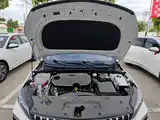 Фото 20 - Geely Binrui
