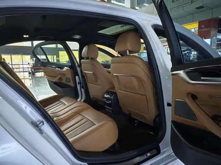 BMW 5 Series 2020 530Li Exclusive M Sport Package фото 8