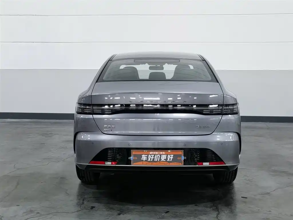 BYD Destroyer 05 2024 Glory Edition DM-i 55KM Luxury фото 4