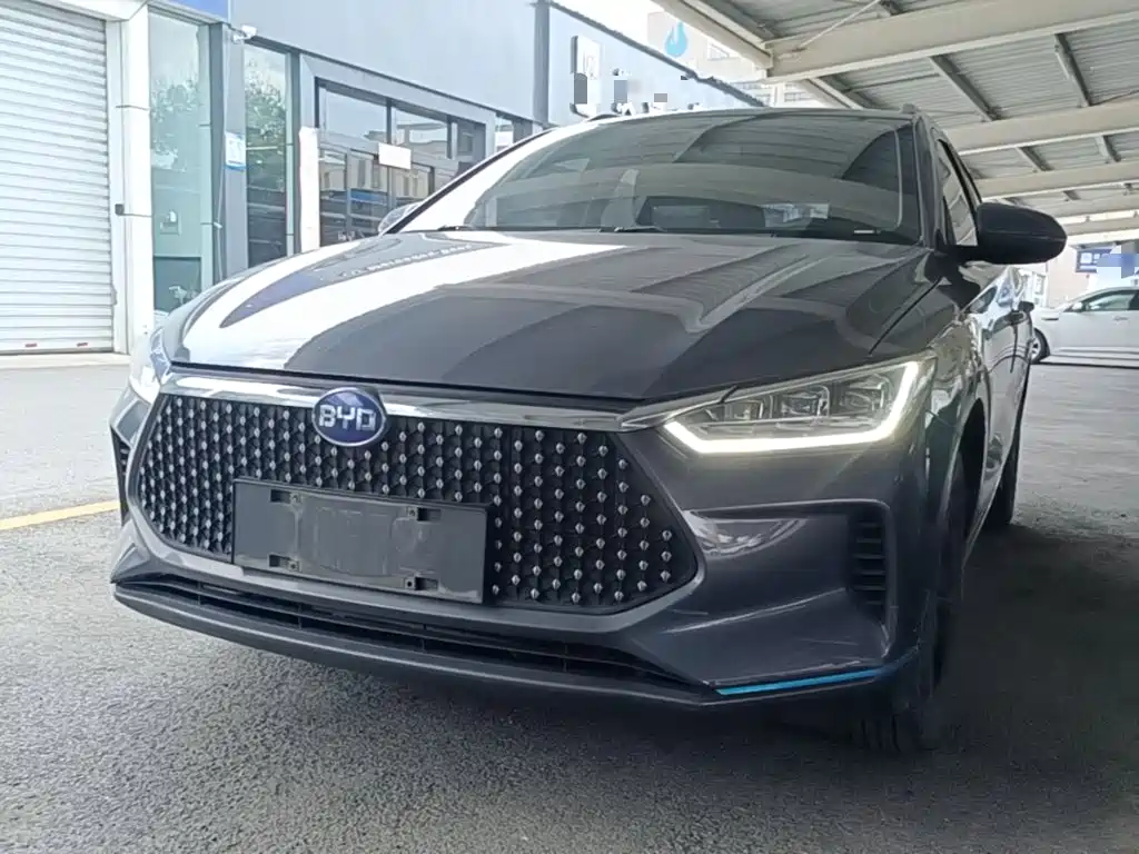 BYD e2 2020 2019 Long Range Yao·Luxury Model