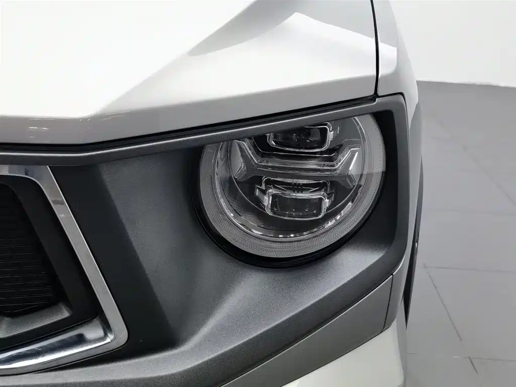HAVAL BIG DOG PLUS