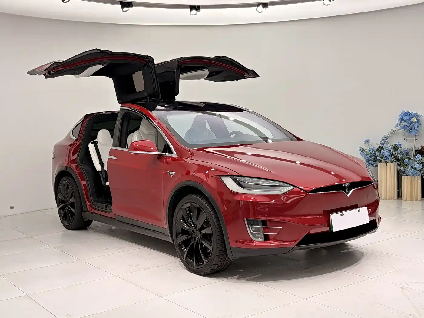 TESLA MODEL X