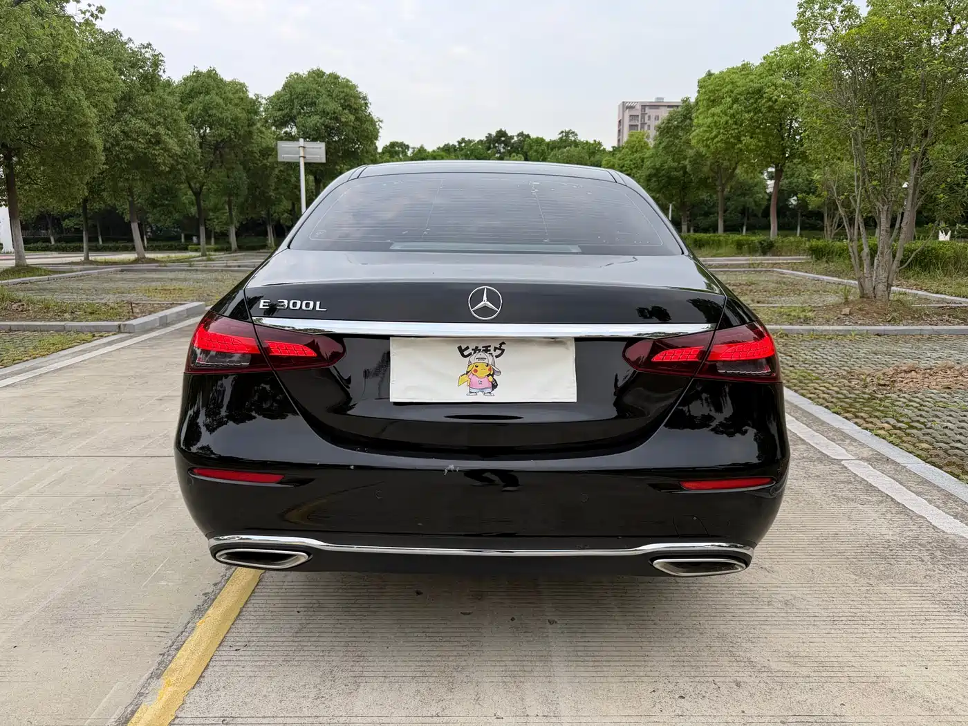 Mercedes-Benz E-Class 2023 E 300 L Luxury фото 14