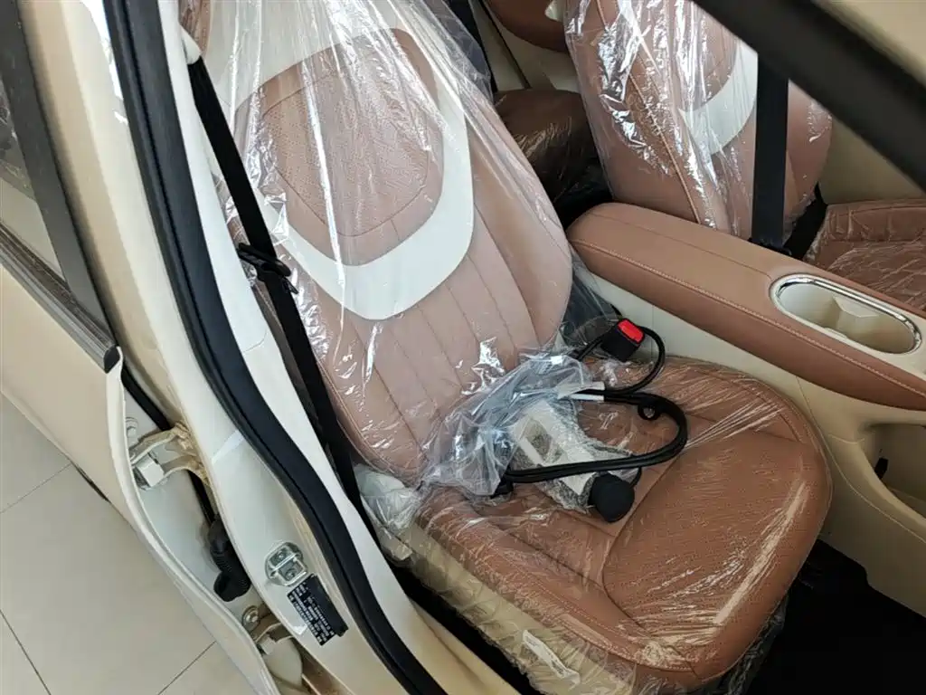 Wuling Motors Wuling Bingo 2026 2025 Model 333km Joy Edition