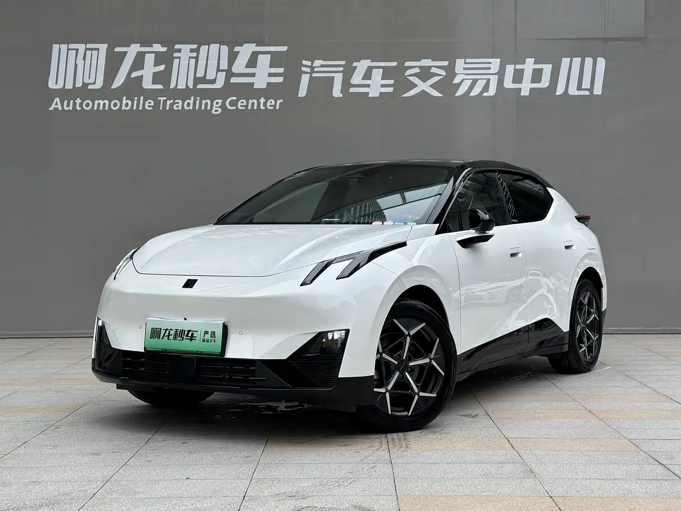 Lynk & Co Z20 2025 530km RWD Max