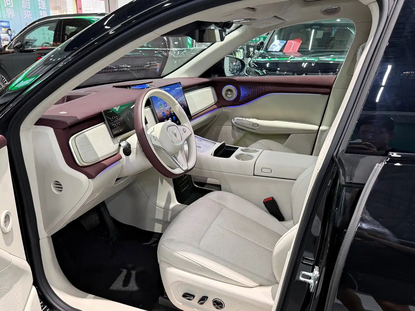 Voyah Auto Voyah Zhiyin 2025 Base фото 8