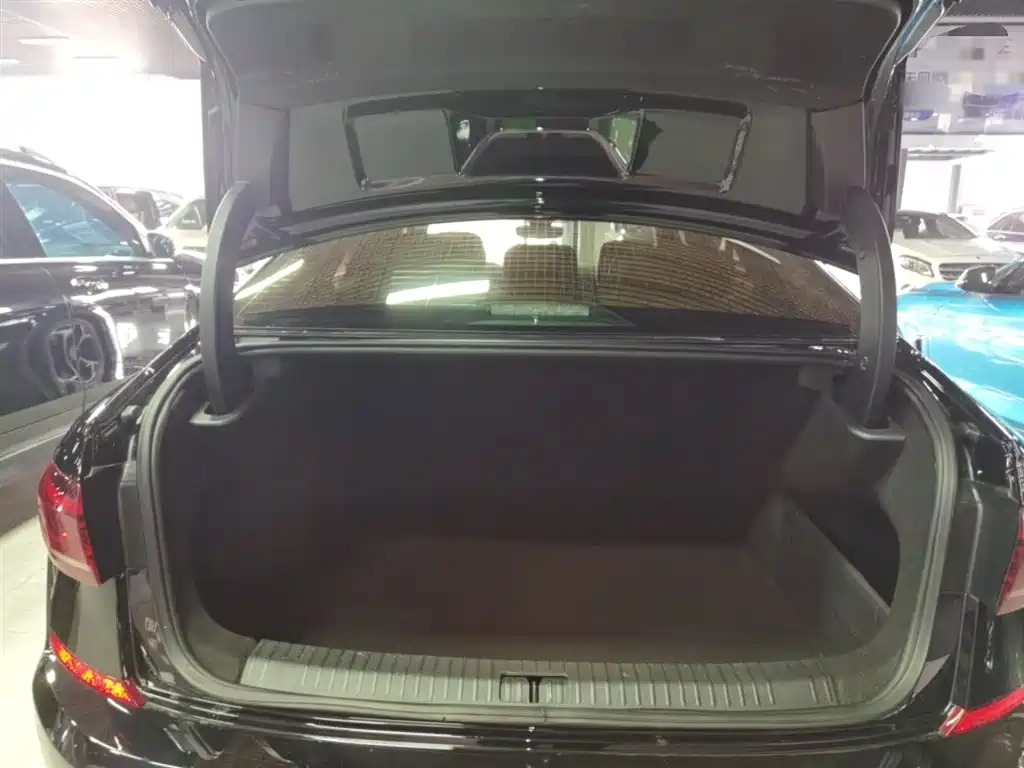 Volkswagen Passat 2023 330TSI Starlight Luxury Edition фото 19