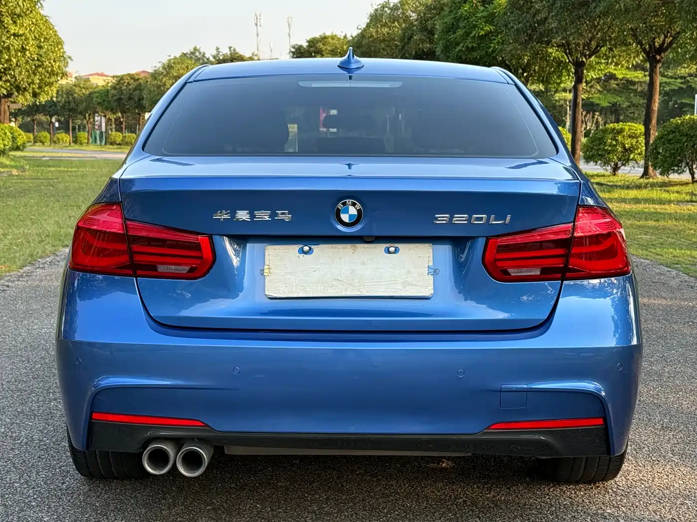 BMW 3 Series 2018 320Li Leading M Sport Package фото 14