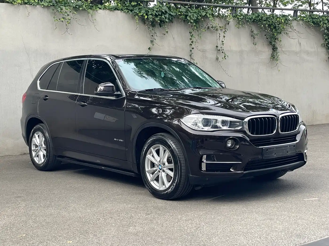 BMW X5 (Import) 2018 xDrive35i Elegant Model фото 3
