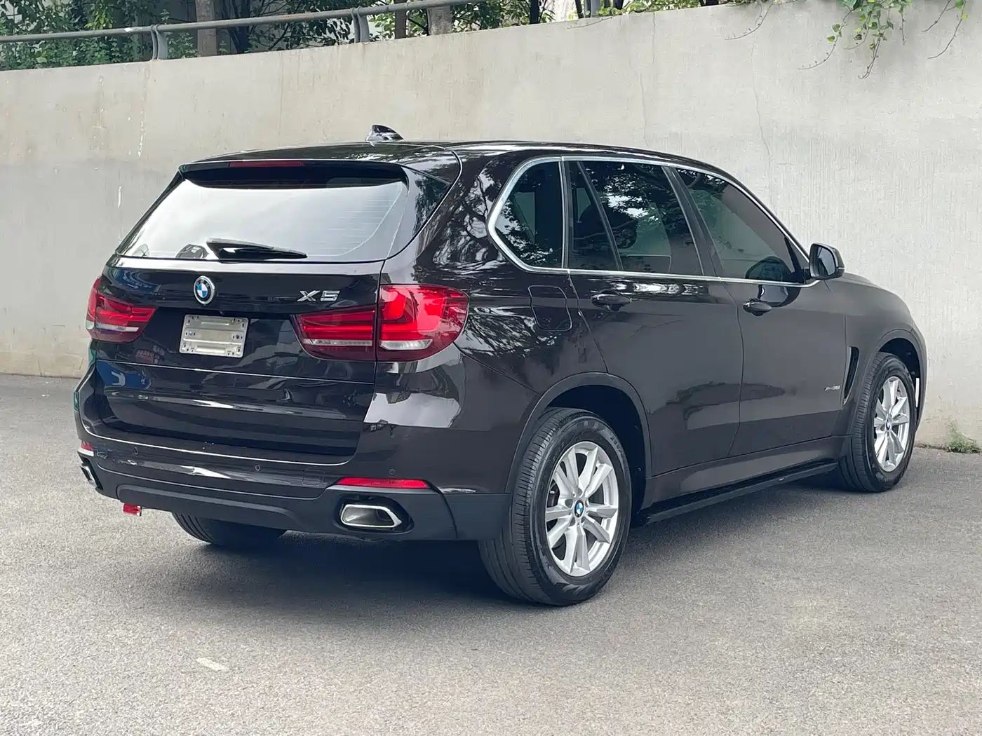 BMW X5 (Import) 2018 xDrive35i Elegant Model фото 7
