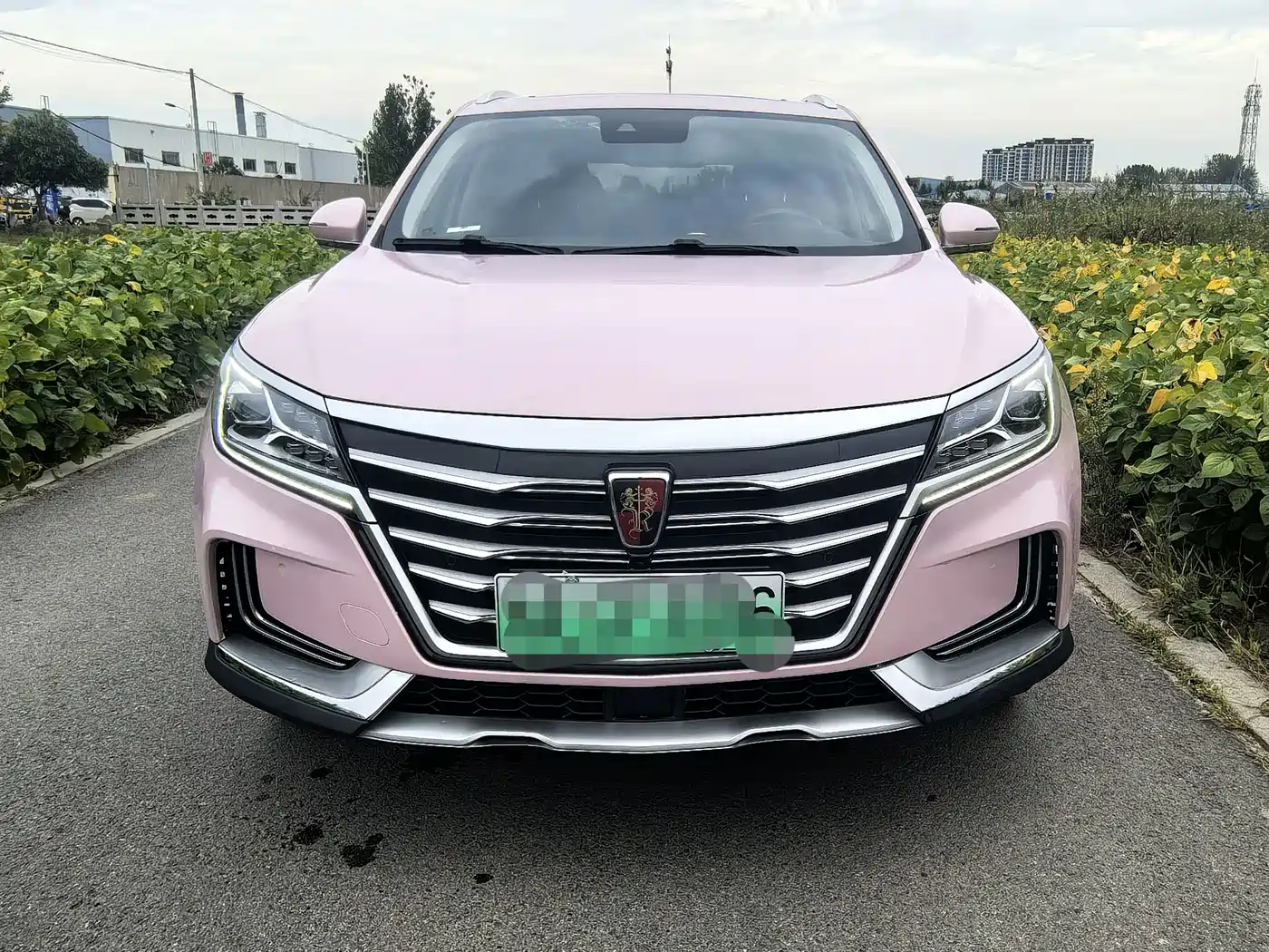Roewe MARVEL X 2019 2018 Rear-Wheel Drive Version