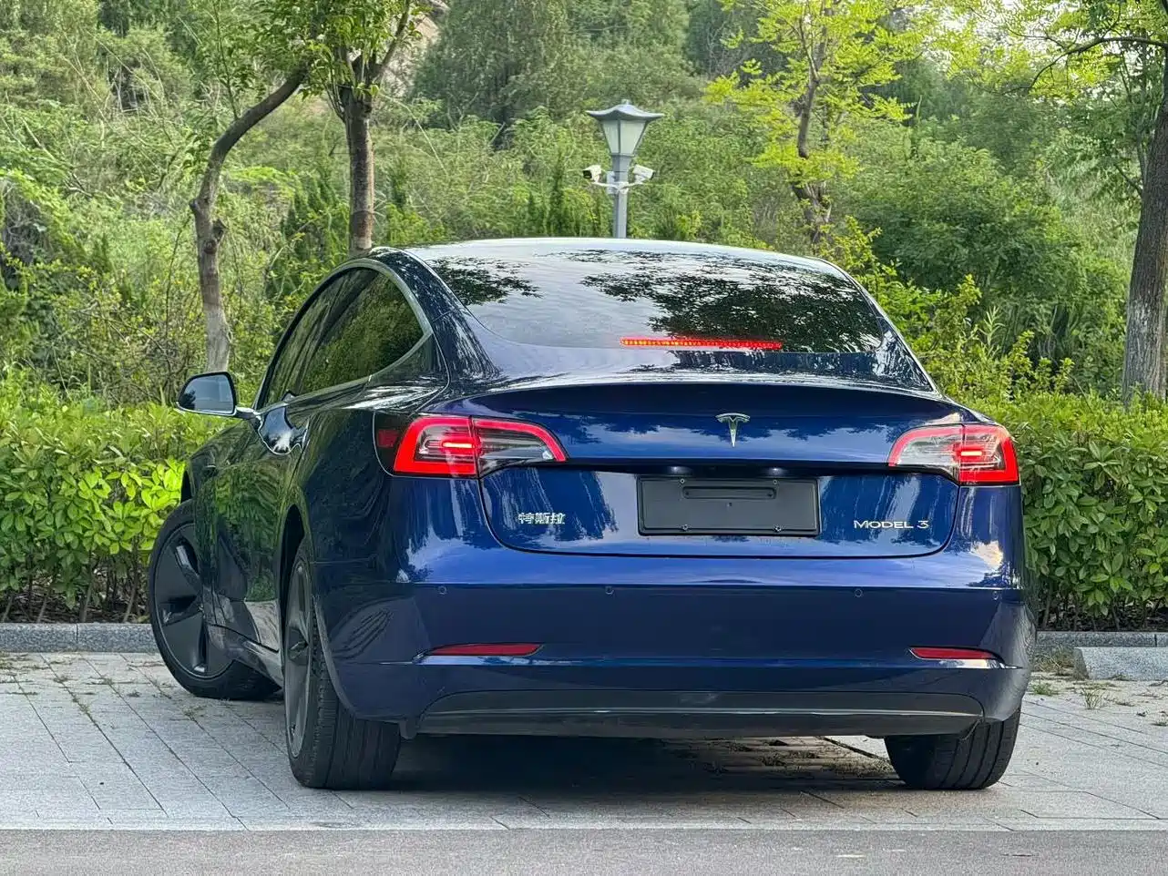 Tesla Model 3 2020 2019 Standard Range Rear-Wheel Drive Upgrade