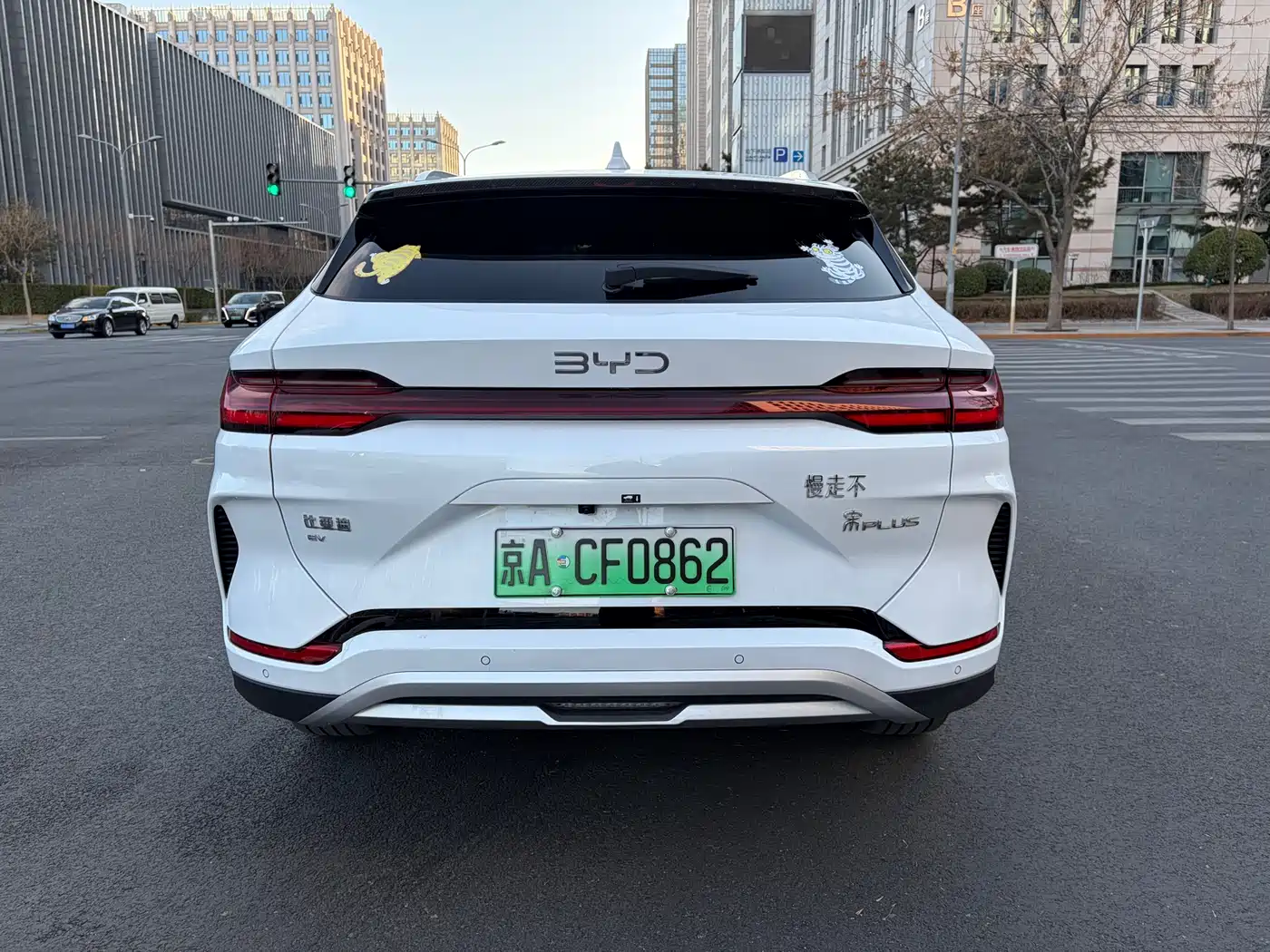 BYD SONGJIANG NEW ENERGY