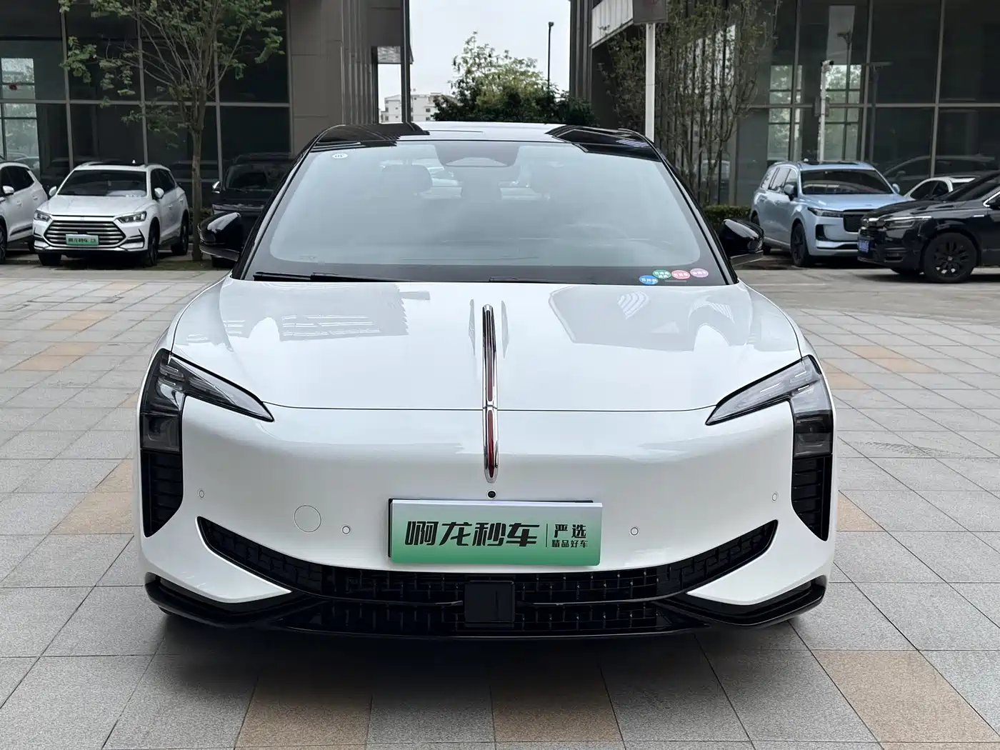 Hongqi EH7 2024 820 Pro Glory Edition фото 3