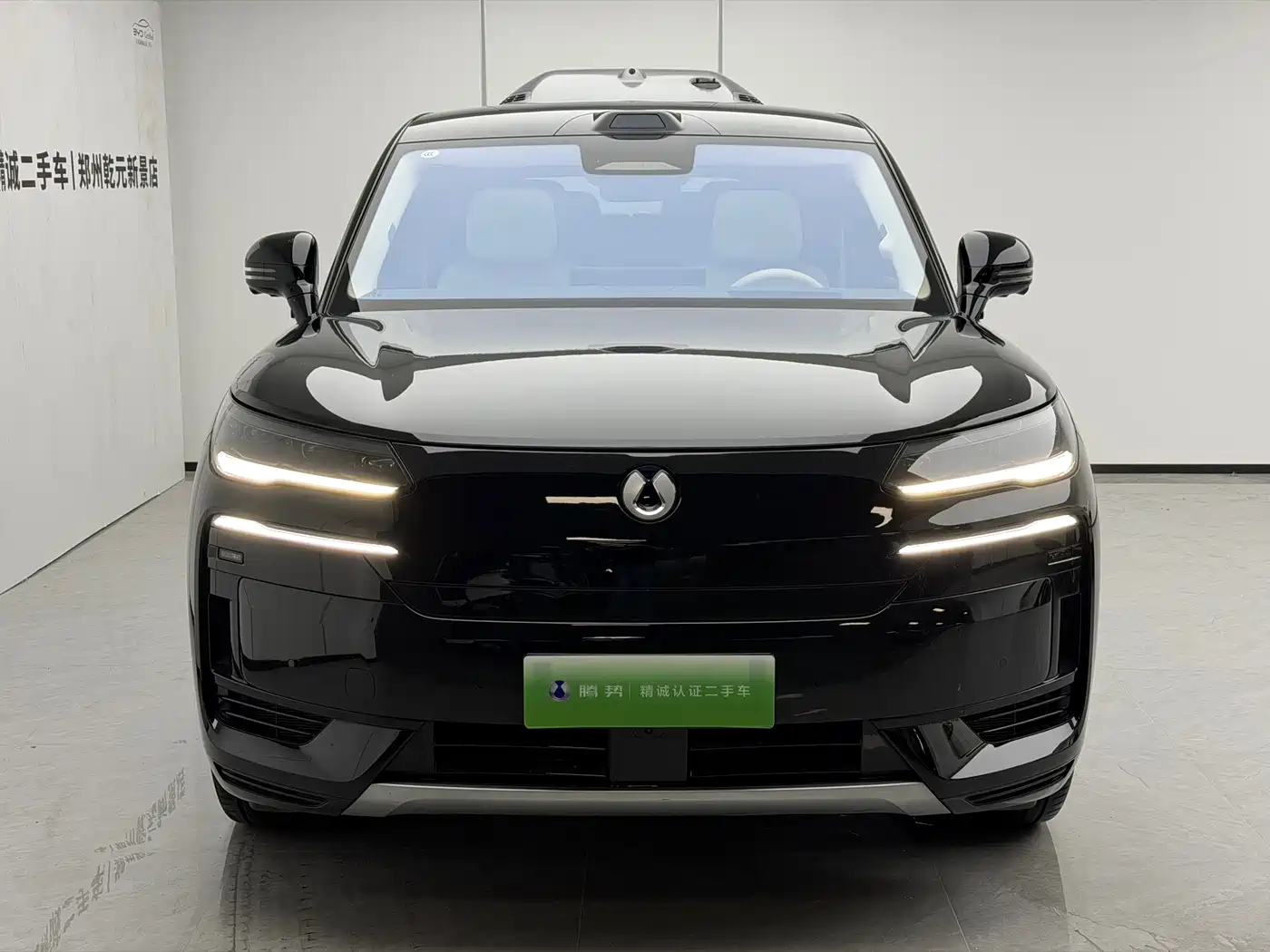 Denza N9 2025 2025 Model Prestige Edition