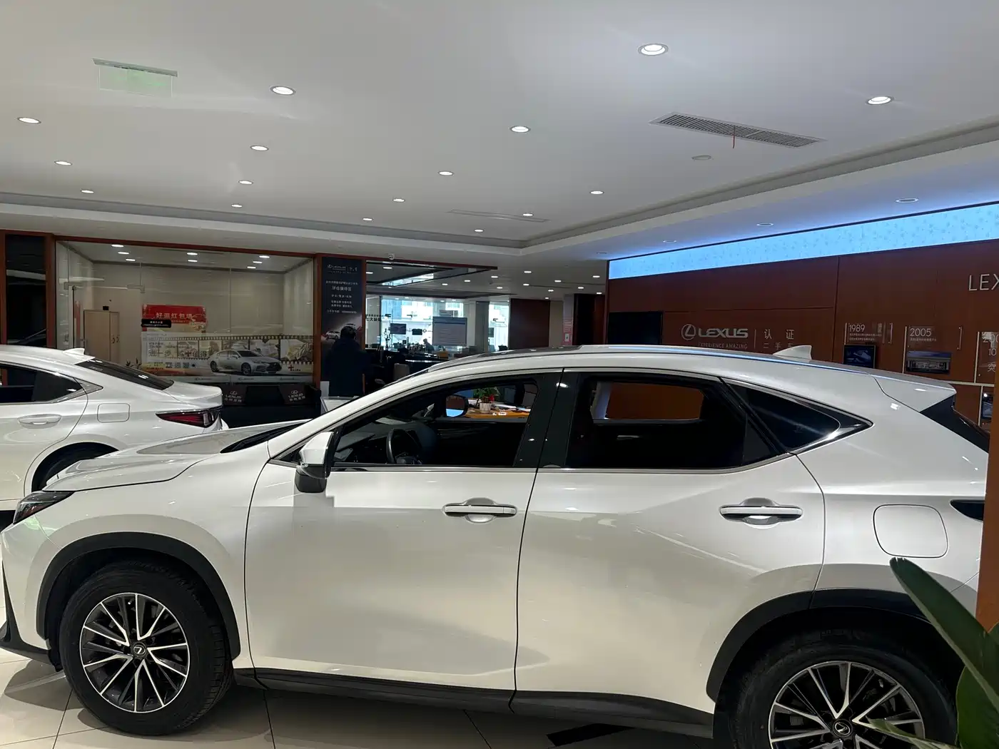 LEXUS NX