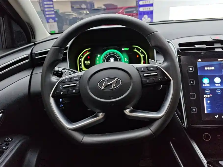 Hyundai Tucson 2023 Tucson L 1.5T Automatic 2WD GLX Elite Edition фото 15