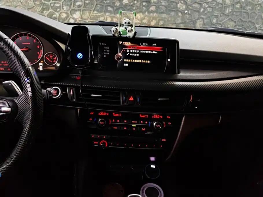 BMW X5 (Import) 2017 xDrive35i M Luxury Sport фото 13
