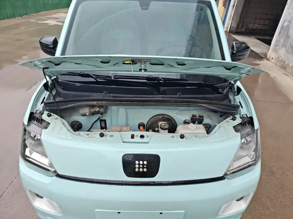 Dongfeng Fengguang Fengguang MINIEV 2024 2022 Practical Style Utility Type