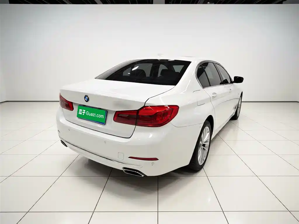 BMW 5 Series 2018 530Li xDrive Luxury Package фото 12