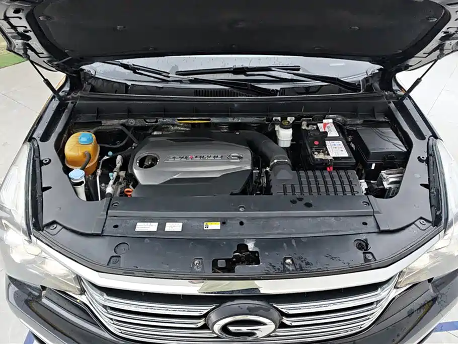 GAC Trumpchi Trumpchi GS8 2017 320T 2WD Luxury Smart Connect (7-seater) фото 10